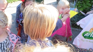 Miniature af billede nummer 3529