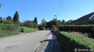 Miniature af billede nummer 3534