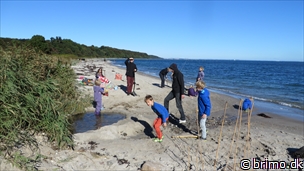 Miniature af billede nummer 3538