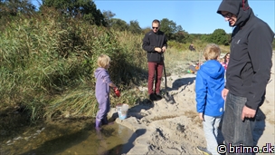 Miniature af billede nummer 3539