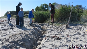 Miniature af billede nummer 3540