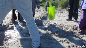 Miniature af billede nummer 3541