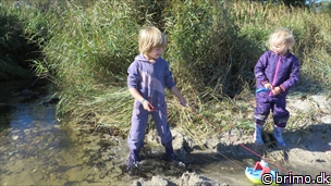 Miniature af billede nummer 3542