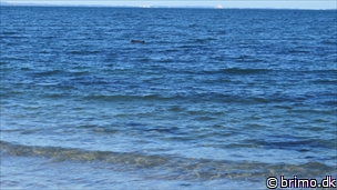 Miniature af billede nummer 3543