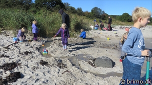 Miniature af billede nummer 3544