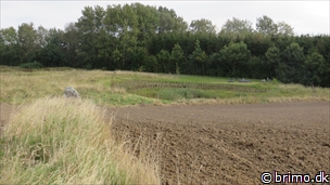 Miniature af billede nummer 3549