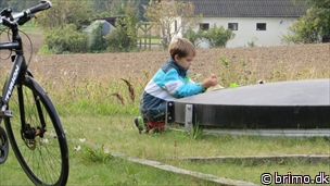 Miniature af billede nummer 3551