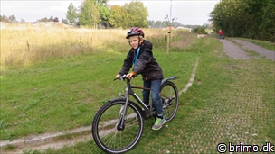 Miniature af billede nummer 3552