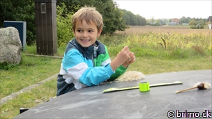 Miniature af billede nummer 3553