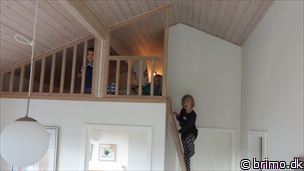 Miniature af billede nummer 3561