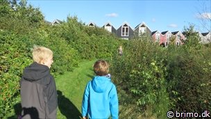 Miniature af billede nummer 3562