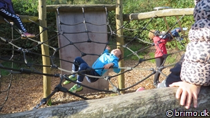 Miniature af billede nummer 3563