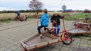 Miniature af billede nummer 3568