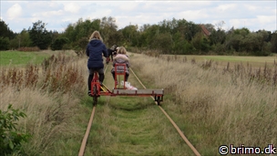 Miniature af billede nummer 3570