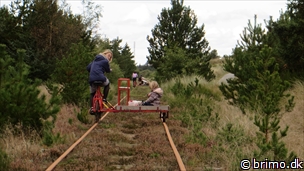 Miniature af billede nummer 3571