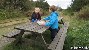 Miniature af billede nummer 3572