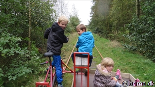 Miniature af billede nummer 3574