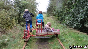 Miniature af billede nummer 3575