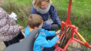 Miniature af billede nummer 3577