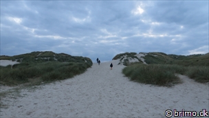 Miniature af billede nummer 3581