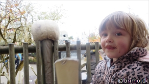 Miniature af billede nummer 3594