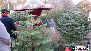 Miniature af billede nummer 3598