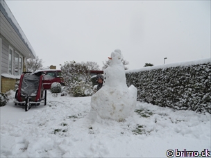 Miniature af billede nummer 3602