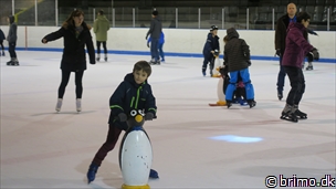 Miniature af billede nummer 7918