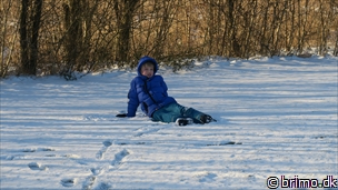 Miniature af billede nummer 7922