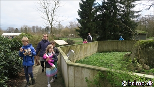 Miniature af billede nummer 7949