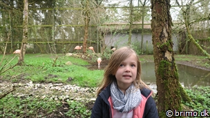 Miniature af billede nummer 7957