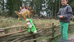 Miniature af billede nummer 7958