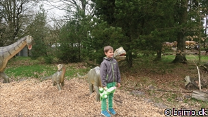 Miniature af billede nummer 7959