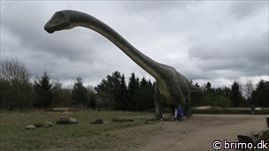 Miniature af billede nummer 7960