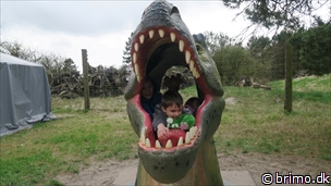 Miniature af billede nummer 7961