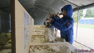 Miniature af billede nummer 7962