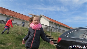 Miniature af billede nummer 7967