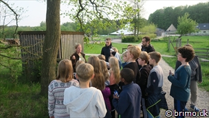 Miniature af billede nummer 7981