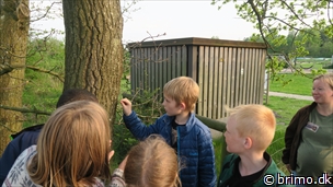 Miniature af billede nummer 7982