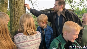 Miniature af billede nummer 7983