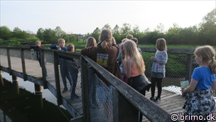 Miniature af billede nummer 7986