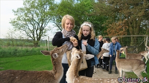 Miniature af billede nummer 7991