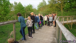 Miniature af billede nummer 7992