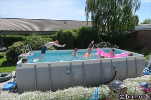 Miniature af billede nummer 8008