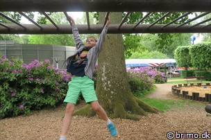 Miniature af billede nummer 8012