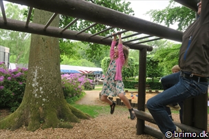 Miniature af billede nummer 8013