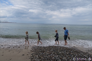 Miniature af billede nummer 8015