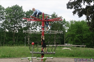 Miniature af billede nummer 8020