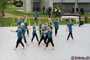 Miniature af billede nummer 8022