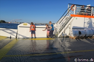 Miniature af billede nummer 8025